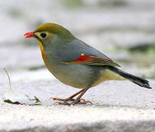 ���������